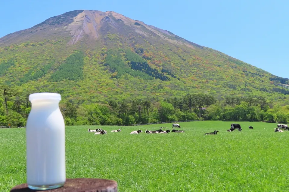 牛乳でお腹痛い…もう嫌！原因と対策を知って美味しく飲もう